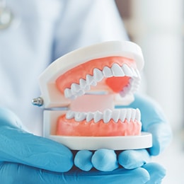 Dental professional holding model demonstrating teeth cleaning technique with toothbrush.